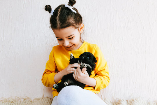 Indoor photo of a happy child smiling and playing at home with little dog. Cute little girl cares about the puppy. Adorable kid playing with her pet at the carpet in the room onm a sunny day.