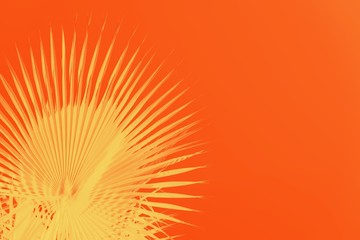 Yellow palm leaves on vivid orange background. Minimal concept, copy space