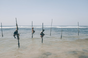 Pole fishermen in the ocean Sri Lanka