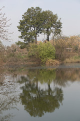 Park and Lake, Islamabad, Pakistan