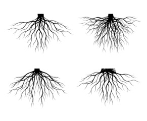 Set of Black Tree Roots. Vector Illustration. Plant and Garden.
