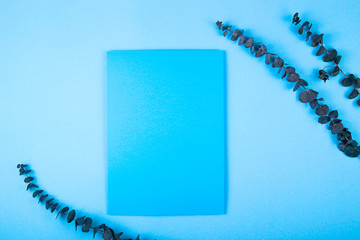 Background with eucalyptus on a blue background. Spring flower mock up. © svitlini