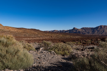 Views of lava field in the caldera of Mount Teide National Park, Tenerife, Canary Islands, Spain