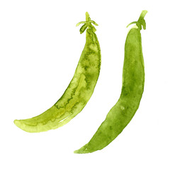 Watercolor set of peas. Hand drawn illustration isolated on white background. Collection of green vegetables.