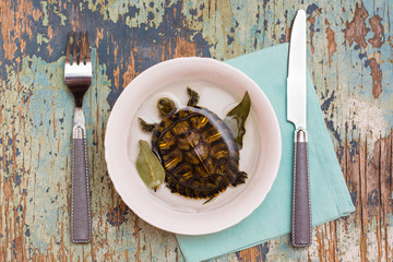 Live turtle in a  plate with water and bay leaf and cutlery on the table. Imitation of tortoise soup. Animal protection concept. Top view