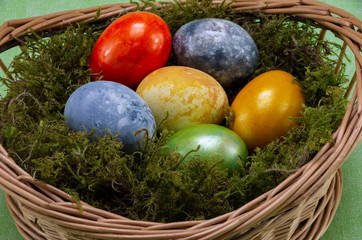 Easter, colored painted eggs in a wicker basket with moss