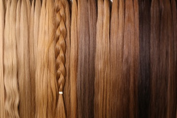 Homogeneous hair texture. Extension, the manufacture of wigs.