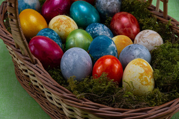 Easter, colored painted eggs in a wicker basket with moss
