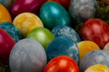 Easter, colored painted eggs with moss