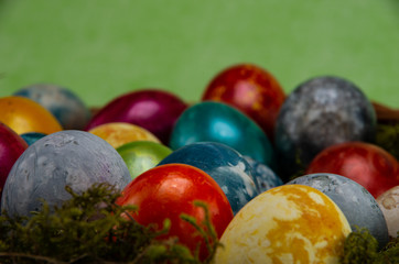 Easter, colored painted eggs with moss