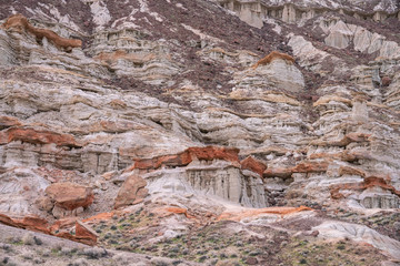 California Mountain Detail