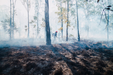 Silueta de bombero forestal combatiendo incendio