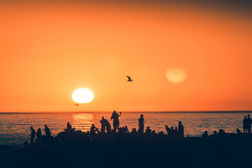 Sunset at the beach with birds flying