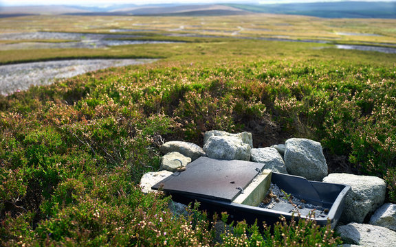 A tray of medicated grit feed to protect grouse from Strongylosis, caecal nematode. England UK.