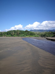 Fototapeta premium Caribbean beach with palms in sunset light