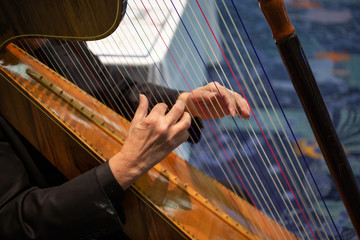 A view of a pair of older hands playing the harp instrument at a music event.