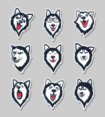 Set of siberian husky stickers. Dog in different emotions. Illustrations for prints, logos, websites, and apps.