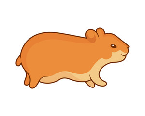 Vector illustration of the golden hamster. Pet for stickers and prints on a white background. Cute character for your design.