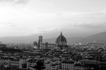  Panoramic view of Florence