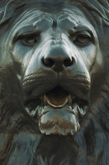 Full frame heroic close-up of the fierce face of  a Trafalgar Square lion, installed in 1867 in...