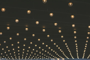 A background of retro lightbulbs on a dark ceiling forming a lattice pattern.