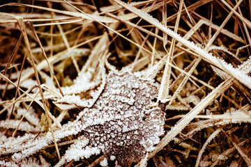 Winterwald mit Eiszapfen und Eisfall