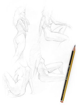 artistic sketches and drawings of a nude woman model in different positions with a pencil on the paper - top view picture