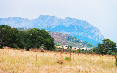 Tavolara Island seen at Olbia Sardinia