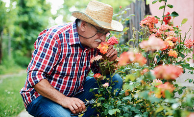 Gardening. Man working in the garden. Hobbies and leisure - Powered by Adobe