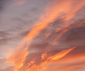 Panorama photo twilight sky background. Colorful Sunset sky and cloud.