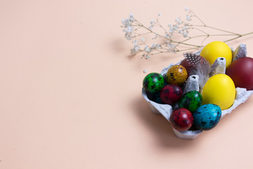 Easter concept, easter symbol colored quail eggs with white flowers on a background