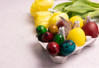 Fototapeta na wymiar yellow tulips on a concrete background and a tray with colored eggs, happy easter
