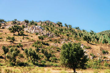 Landscape of Teulada Cagliari Sardinia island