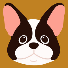 Flat colored French Bulldog front head