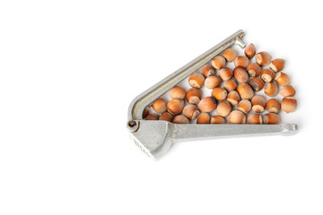 Hazelnuts with garlic clover isolated on the white background, top view.