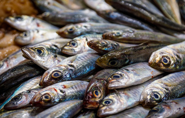Obraz premium Fresh fishes on ice in the fishmarket in Barcelona