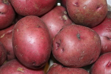 pile of red potatoes