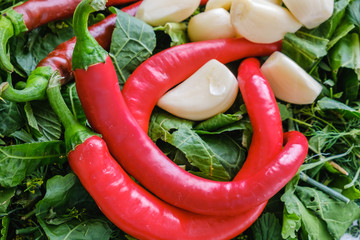 hot peppers and garlic on greens background, healthy food