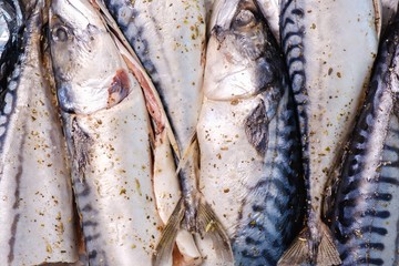 Mackerel fish seafood healthy food, background.