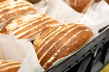 A closeup view of several fresh rustic loaves of bread, on display at a local bakery.