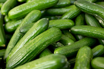 A view of several Persian cucumbers on display at a local farmers market.
