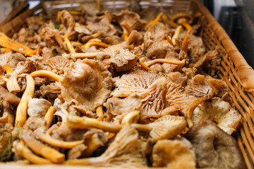 A view of a basket full of yellow foot mushrooms, on display at a local grocery store.