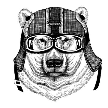 Polar bear, white bear Hipster animal wearing motorycle helmet. Image for kindergarten children clothing, kids. T-shirt, tattoo, emblem, badge, logo, patch