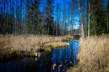 beautiful spring backwaters glistening in the rays of the sun against the blue sky