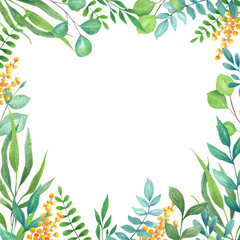 Elegant frame. Hand drawn eucalyptus and tropical  leaves isolated on white background.