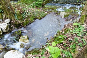  waterfall in spring in a gorge surrounded by young foliage