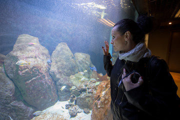 acquario marino