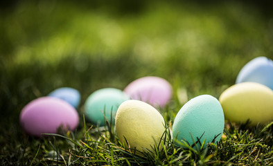 easter eggs on green grass