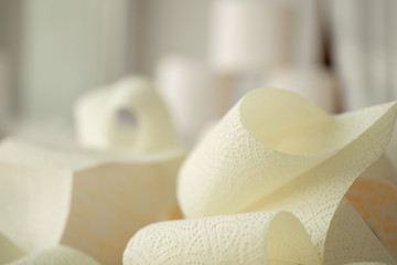  lonely somber gray striped young cat sits on windowsill with rolls of toilet paper. concept stay home, the effect of coronovirus on animals, quarantined entertainment, where did the toilet paper go.