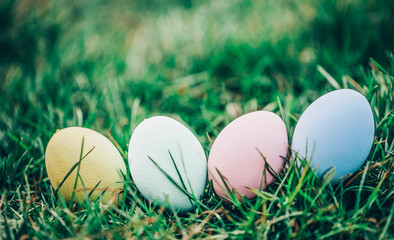 easter eggs on green grass